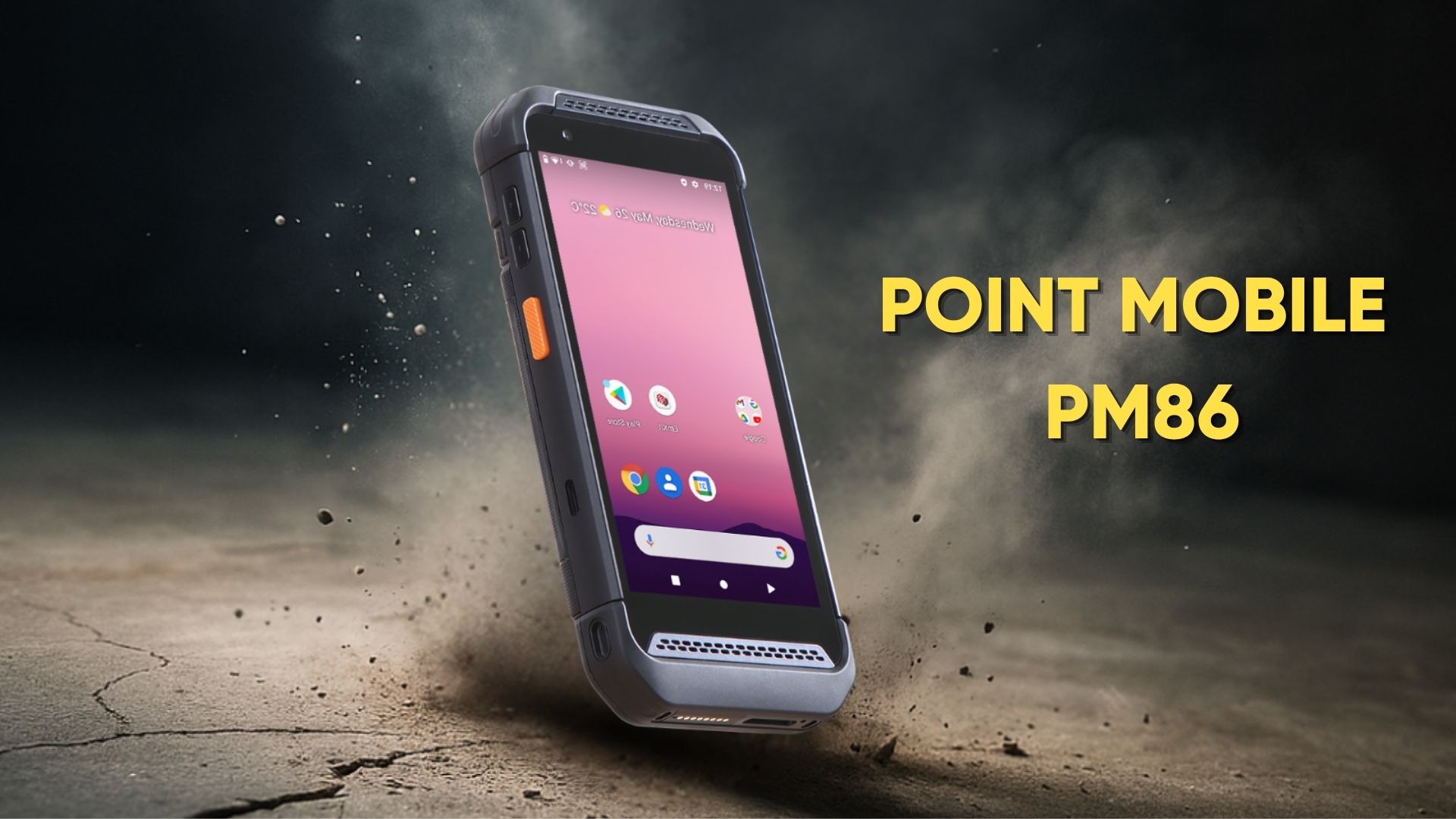 Máy kiểm kho PM86