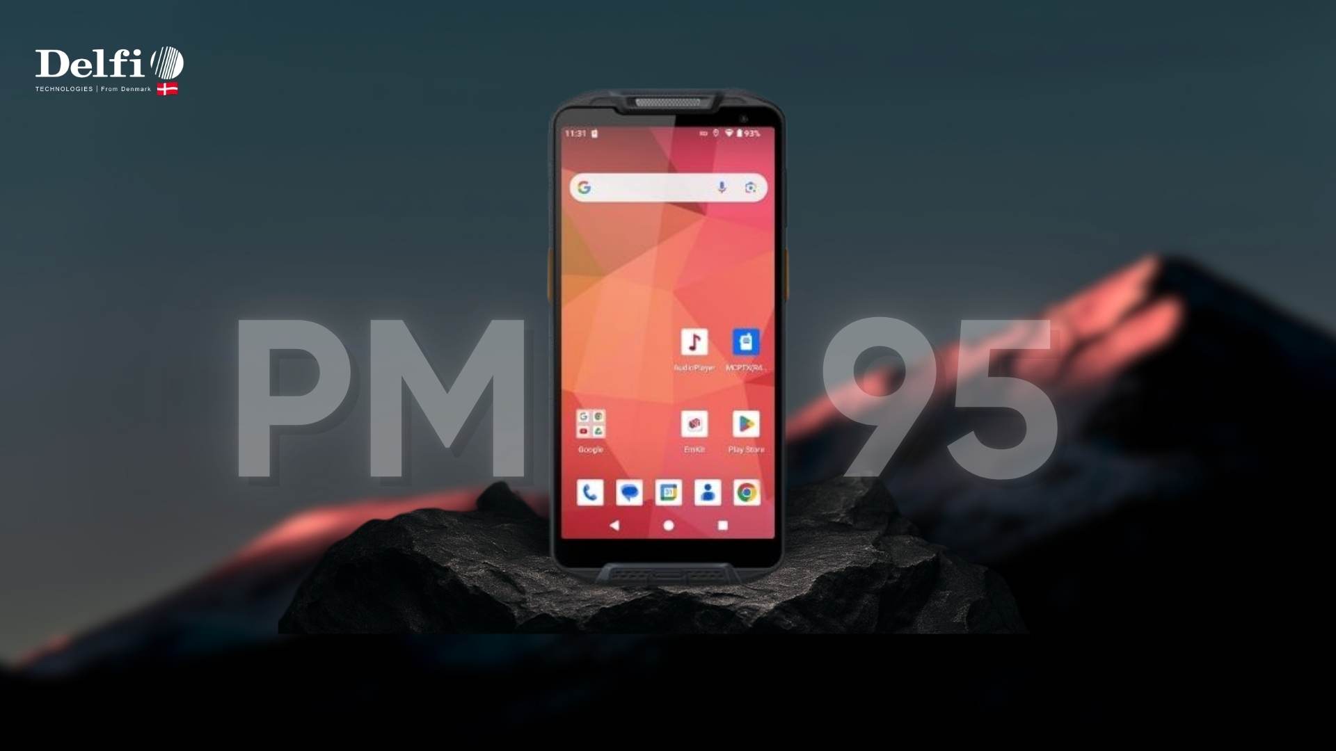 Máy kiểm kho PM95