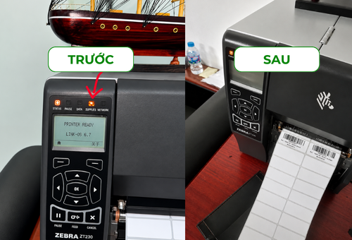Nguyên Nhân Máy In ZT230 Không In Được Và Cách Khắc Phục