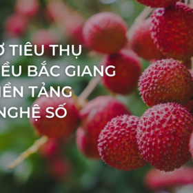 HỖ TRỢ TIÊU THỤ VẢI THIỀU BẮC GIANG TRÊN NỀN TẢNG CÔNG NGHỆ SỐ