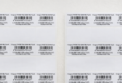 Máy In Tem Bị Nhảy Tem: Nguyên Nhân, Khắc Phục, Phòng Ngừa