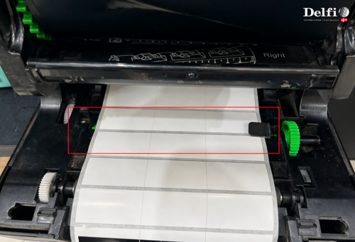 Máy In TSC TE300 Gãy Ngàm Giữ Giấy: Cách Sửa & Thay Linh Kiện