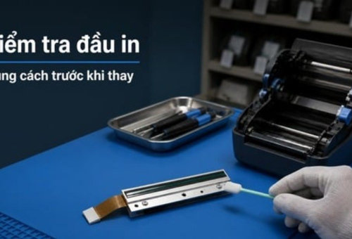 Thay Đầu In Mã Vạch: Khi Nào Cần Và Dấu Hiệu Nhận Biết